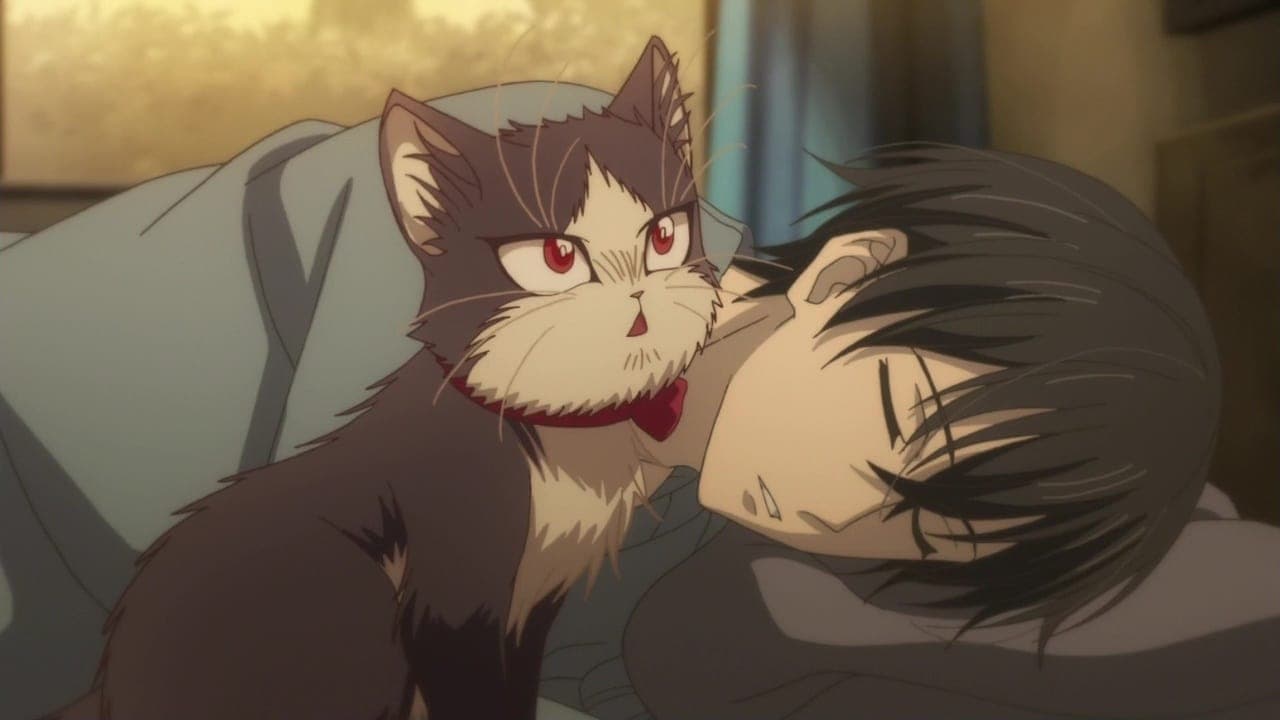 Домашний питомец иногда сидящий на моей голове